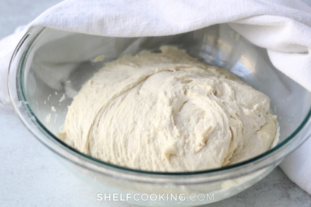 no knead bread dough in a bowl, from Shelf Cooking